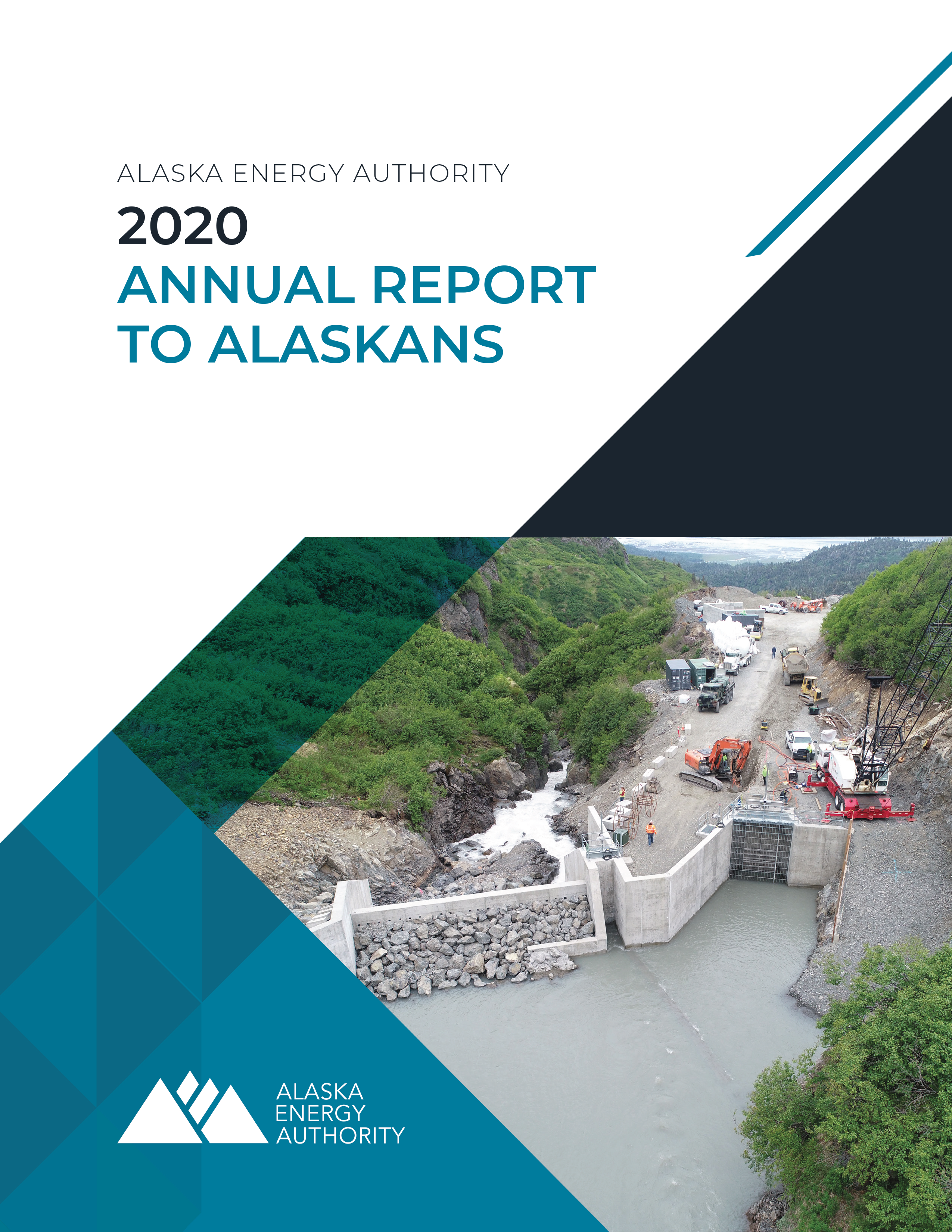 2020 AEA Annual Report cover